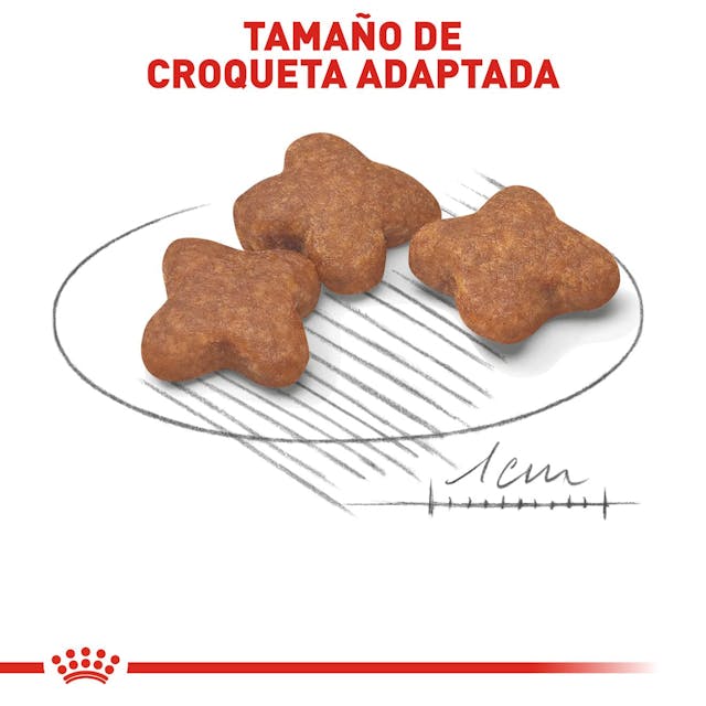 Royal Canin Small Mature +8 1.1 Kg - Alimento para Perro Royal Canin Small Mature +8 1.1 Kg - Alimento para Perro